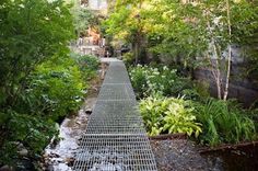 a garden with lots of plants and water running through the middle of it, surrounded by tall buildings