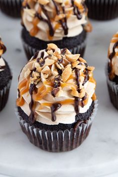 chocolate cupcakes with white frosting and nuts on top