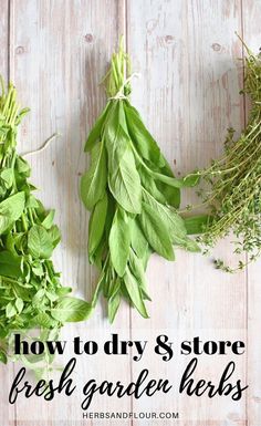 fresh garden herbs and how to dry & store them