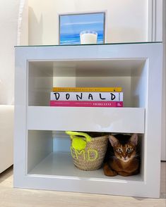 a cat hiding under a book shelf with books on it's shelves and a vase next to it