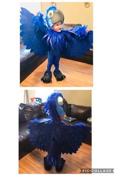 two pictures of a child in blue and black costume, one with wings on it's head