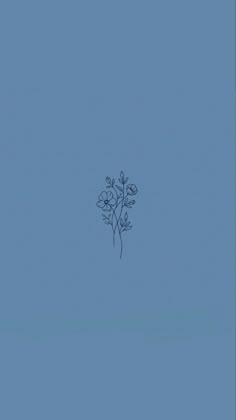 a single flower on a blue background