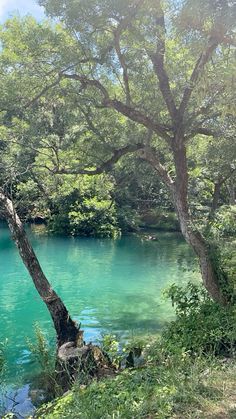 the blue water is surrounded by trees and grass