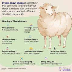 The dream about sheep is an omen for welfare and happiness in the family. It also means that someone is guiding your life, hence preventing you from making thoughtless decisions. Dream Magick, Fat Burning Yoga, Happiness In Life, Mother Earth Living, Cleaning Your Ears, Health Signs, Job Promotion