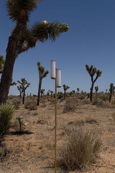 a tall metal pole in the middle of a desert area with trees and bushes around it