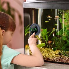 PAIZOO Fish Tank Digital Thermometer Accurate LED Display to ±0.9°F Tank Thermometer Aquarium Temperature Measurement Suitable for Fish, Axolotl, Turtle or Aquatic Led Aquarium, Reptile Terrarium, Reptile Enclosure, Saltwater Tank, Rooms Ideas, Fish Tanks, Digital Thermometer, Healthy Environment, Diy Bed