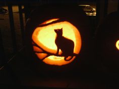 two pumpkins with cats carved into them