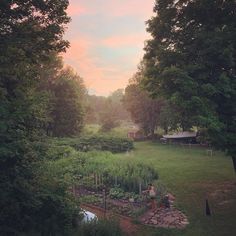 two people are standing in the middle of a garden at sunset, with trees surrounding them