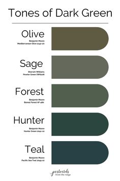 the color scheme for tones of dark green, olive and sage forest hunter teal