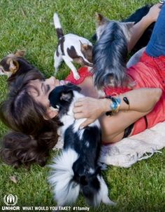 a woman laying on the grass with two dogs