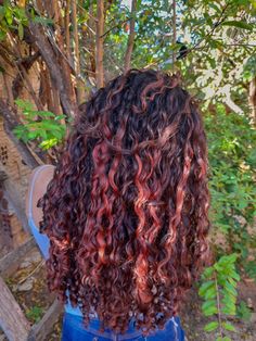 #cacheadas #cabelocommechas #cachos #aesthetic Long Curly Hair Color Ideas Brunettes, Red Balayage Hair Curly, Red Streaks In Brown Hair Curly, Brown Curly Hair With Red Highlights, Red Highlights On Curly Hair, Curly Hair Dark Red, Skunk Curly Hair, Curly Red Highlights, Curly Hair Red Highlights