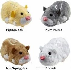 four different types of stuffed hamsters with their names in english and chinese on them