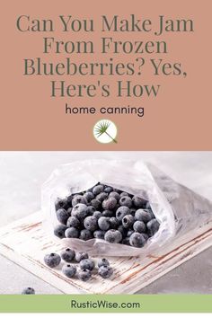 blueberries in a bag with the words can you make jam from frozen blueberries? yes, here's how