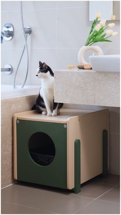 a black and white cat sitting on top of a cardboard litter box in a bathroom