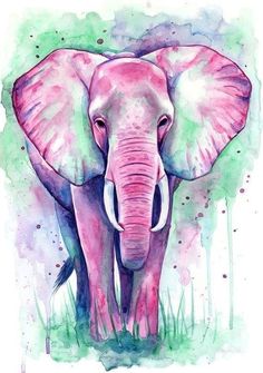 an elephant painted in watercolor on paper