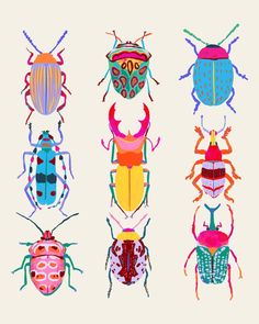 four different colored bugs on a white background