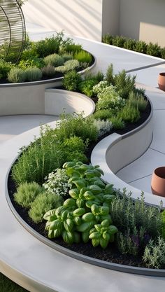 a circular garden with plants and flowers in it