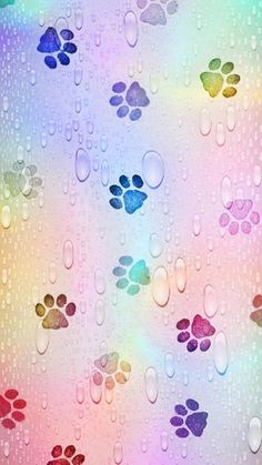 colorful water drops and paw prints on a multicolored background