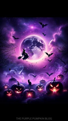 halloween pumpkins and bats in front of a full moon with the words purple pumpkin blog written below