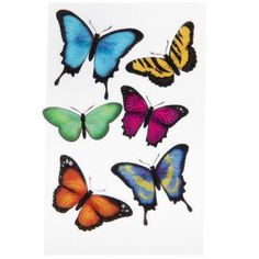 six different colored butterflies on a white background