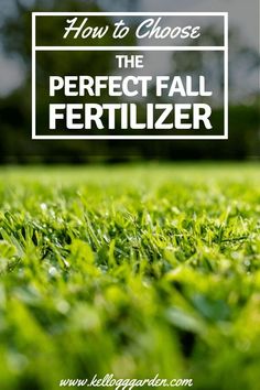 green grass with the words how to choose the perfect fall fertilizer