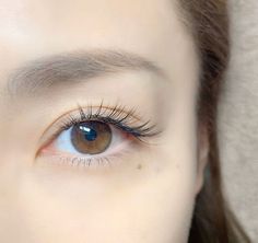 Natural Looking Eyelash Extensions, Bentuk Alis, Japan People