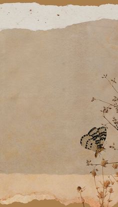 a butterfly sitting on top of a plant next to a paper sheet with torn edges