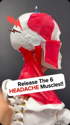 Dr. Joe Damiani - TMJ, Head & Neck Specialist | Comment the word ‘HEADACHE’ on this post if you help identifying the root cause of your headaches! Do you experience daily or weekly... | Instagram Reduce Headaches, Neck Pain Relief, Headache Relief, Build Strength, I Can Do It, Head And Neck, Neck Pain, The Question, Pick One