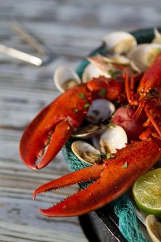 lobsters and clams on a blue net with lime wedges next to them