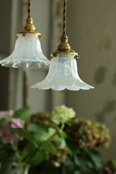 two glass lights hanging from a ceiling in front of a vase with flowers on it