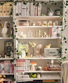 a bookshelf filled with lots of books and other things on top of it