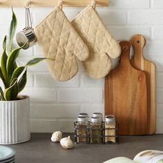 two oven mitts hanging on a rack next to a potted plant and cutting board