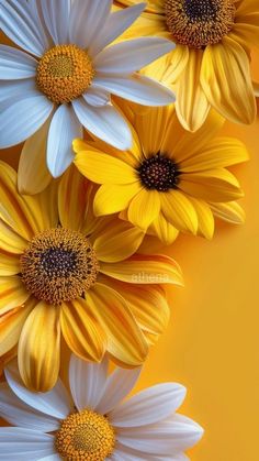 some white and yellow flowers on a yellow background