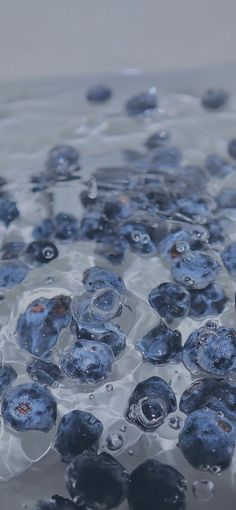 blue bubbles floating on top of the water