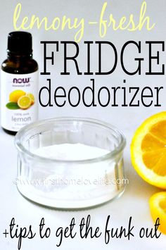 lemony fresh fridge deodorizer and tips to get the fun out of it