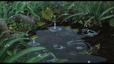 the pond is surrounded by green plants and water lilies, while butterflies are flying around