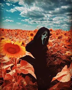 a person in a black mask standing in a field of sunflowers with a sky background