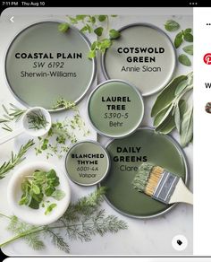 four paint cans with labels on them and herbs in the bottom one is labeled, coastal plain, cotswold, shewn - williams