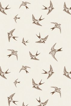 a flock of birds flying through the air