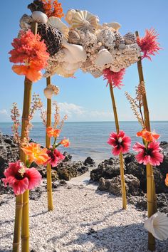 there are many flowers and seashells on the beach