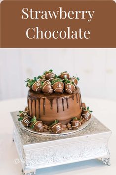 a chocolate covered cake with strawberries on top