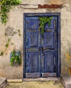 an old blue door with ivy growing on it and potted plants next to it