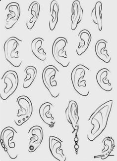 the various types of ear shapes and their corresponding parts are shown in this drawing lesson