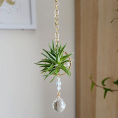 a plant hanging from a gold chain