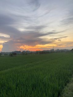 the sun is setting over a green field