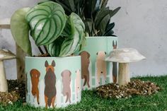 three potted plants sitting on top of green grass next to mushrooms and mushroom houses