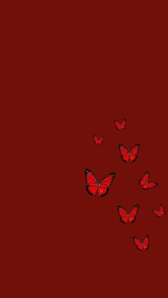 a group of red butterflies flying in the air