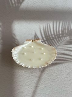 the shadow of a palm leaf is cast on a white wall with a light shining through it