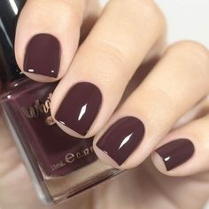 Tasting Trip Regular Polish Dark Burgundy Brown Creme Nail Etsy Nail Polish Brown, Maroon Nails, Fingernail Polish, Dark Burgundy, Beauty Makeup Tips, Nail Arts, Brown Skin, Gel Nails, Beauty Makeup