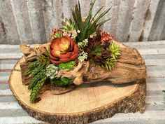 an arrangement of succulents and other plants on a piece of wood